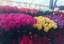 Эквадор остается главным поставщиком цветов в Казахстан