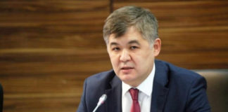 Биртанов прокомментировал информацию о судье из Нур-Султана в Берлине