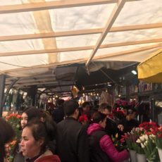 Цветочный ажиотаж в Шымкенте