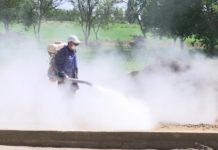 В Туркестанской области началась обработка против клещей