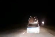 Водитель вёз пассажиров на крыше своего автомобиля в Туркестанской области пассажиры на машине