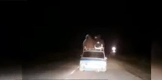 Люди на крыше авто: мужчину привлекли к ответственности пассажиры на машине