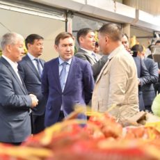 Цены на продовольствие в Шымкенте стабильны