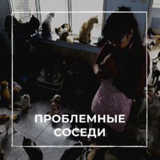 Что делать, если соседи создают проблемы