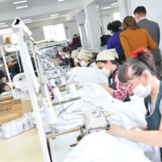 В Шымкенте начали выпускать медицинские маски