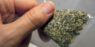 В Сарыагашском районе полицейские задержали местного жителя с марихуаной