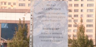 70 % сотрудников акимата Шымкента работают дистанционно