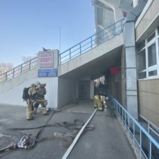 D2496E54-3ED5-4E77-8167-CEE48BEAE093