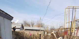 Настоящий лесоповал устроили в Шымкенте на пересечении улиц Байтурсынова и Алимбетова