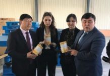 В Туркестанской области растет экспортный потенциал продукции верблюдоводства