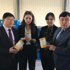 В Туркестанской области растет экспортный потенциал продукции верблюдоводства