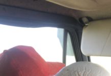 Первые степные грибы появились в степях Южного Казахстана