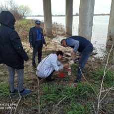 Готовы результаты анализов проб воды водохранилища Шардара