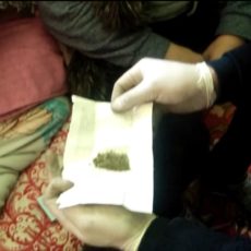 Подозреваемого в сбыте марихуаны задержали в Мактаарале марихуана