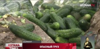 Зараженные огурцы из Ирана пытались продать в Шымкенте