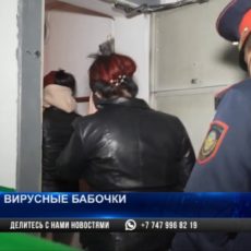 Шымкентских жриц любви коронавирус не испугал