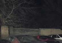 Пять протоколов составили на горе-водителя в Шымкенте