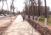 В парках Шымкента упал железный занавес