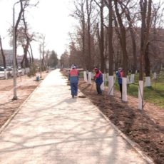 В парках Шымкента упал железный занавес