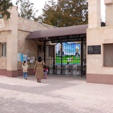 Шымкентский зоопарк закрыт до конца ЧП