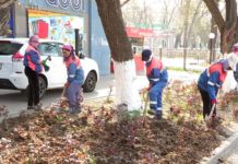 Весна в мегаполисе : коммунальные службы Шымкента занимаются озеленением