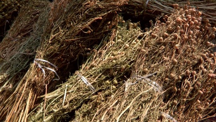 vlcsnap-2020-03-26-19h44m37s795