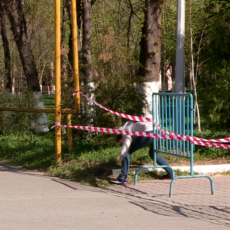 В Шымкенте парки и скверы закрыты для посещения