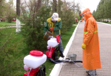 В Шымкенте на территории парка Абая проводят дезинфекцию