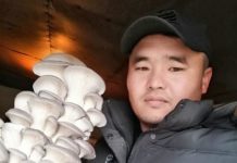 Бизнес на грибах помог жителю Сарыагаша погасить кредиты