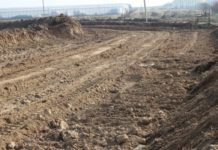 46 земельных участков продали без проведения торгов в Шымкенте