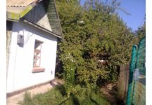 При каких условиях шымкентцам можно ездить на дачу