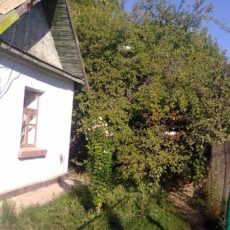 При каких условиях шымкентцам можно ездить на дачу