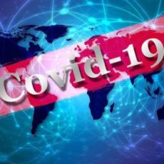 В стране выявлено 20319 заболевших коронавирусной инфекцией