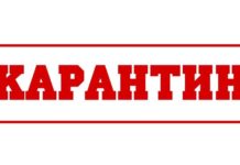 В восьмом микрорайоне Шымкента введен карантин