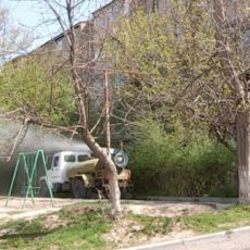 Шымкент усиленно обрабатывают средствами дезинфекции