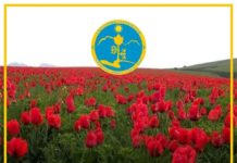 Сырдарья-Туркестанский природный парк объявляет о начале конкурса «Марш парков-2020» конкурс «Марш парков-2020»