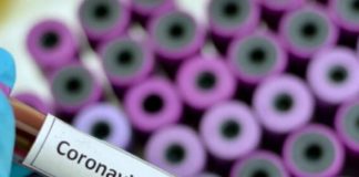 Всего в стране 718 случаев: В Шымкенте — 23, В Туркестанской области — 34 коронавирус