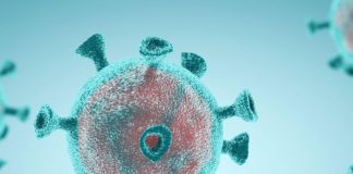 В стране подтверждено 764 случая регистрации коронавируса коронавирус