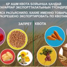 Запрещенные к вывозу из Казахстана сельхозтовары уточнили в МСХ