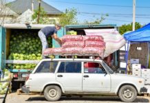 У жителей Шымкента появилась возможность покупать фермерскую продукцию напрямую у производителя