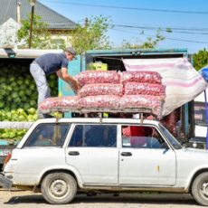 У жителей Шымкента появилась возможность покупать фермерскую продукцию напрямую у производителя