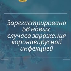 Зарегистрировано еще 56 новых случаев заражения коронавирусной инфекцией Коронавирус - информация