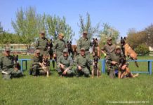 Новые розыскные собаки научились искать рога сайгака кинологи