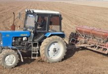 Весенние полевые работы уже полным ходом ведутся в Толебийском районе поле сев