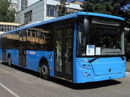 автобусы в России