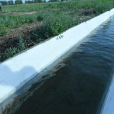 В Туркестане решают проблему нехватки поливной воды