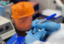 На Сырдарье ведут исследования по предотвращению размножения комаров