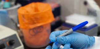 В стране подтверждены 604 случая регистрации коронавируса