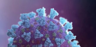 В стране подтверждено 727 случаев регистрации коронавируса