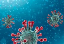 Всего в стране выявлено 16779 заболевших